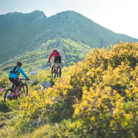 Mountainview - Sauna, Ski-out Und Ski-in Nah, Naturpool شقة