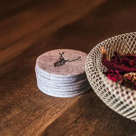 Appartement Mountainview - Sauna, Ski-out Und Ski-in Nah, Naturpool Sankt Oswald (Carinthia)