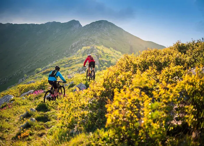 Mountainview - Sauna, Ski-out Und Ski-in Nah, Naturpool Lägenhet